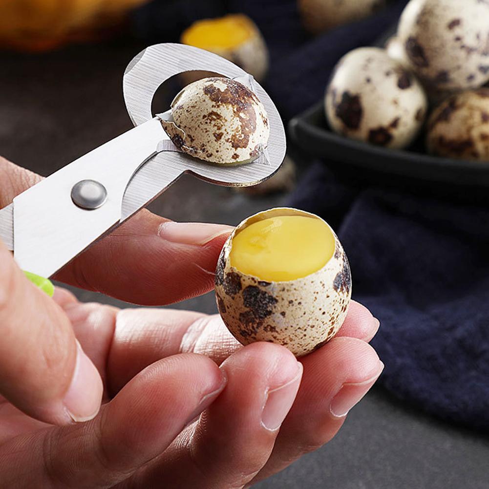 Egg Separator Tool - Piccione Quaglia Open Crack Piccolo guscio